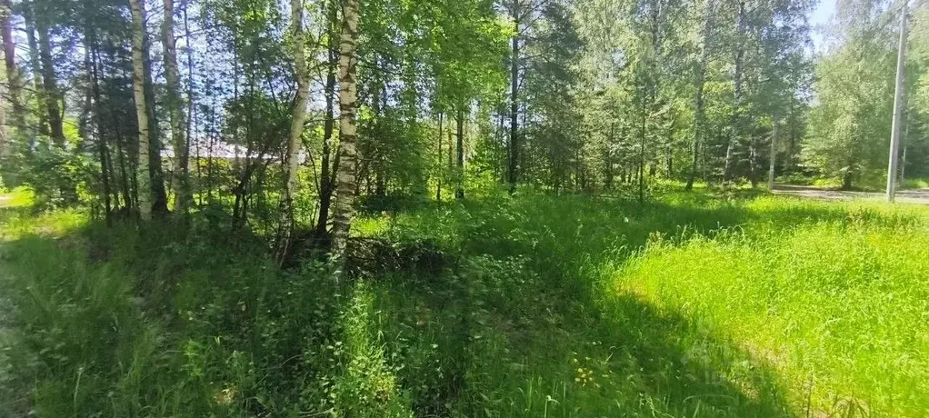 Участок в Московская область, Шатура муниципальный округ, пос. ... - Фото 2