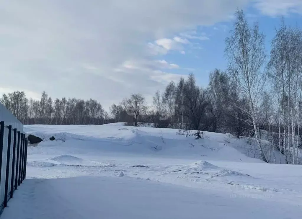 Участок в Челябинская область, Красноармейский район, Баландинское ... - Фото 1