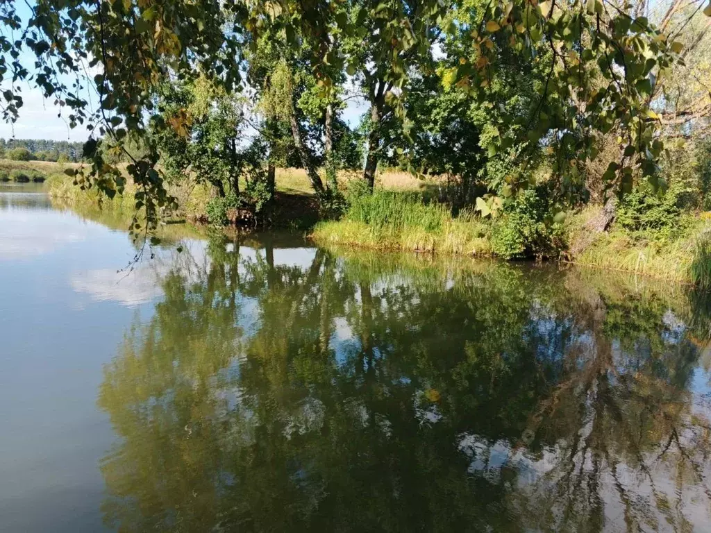 Участок в Московская область, Кашира городской округ, д. Романовское  ... - Фото 1