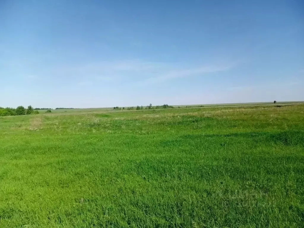 Участок в Саратовская область, Аткарский район, Ершовское ... - Фото 1