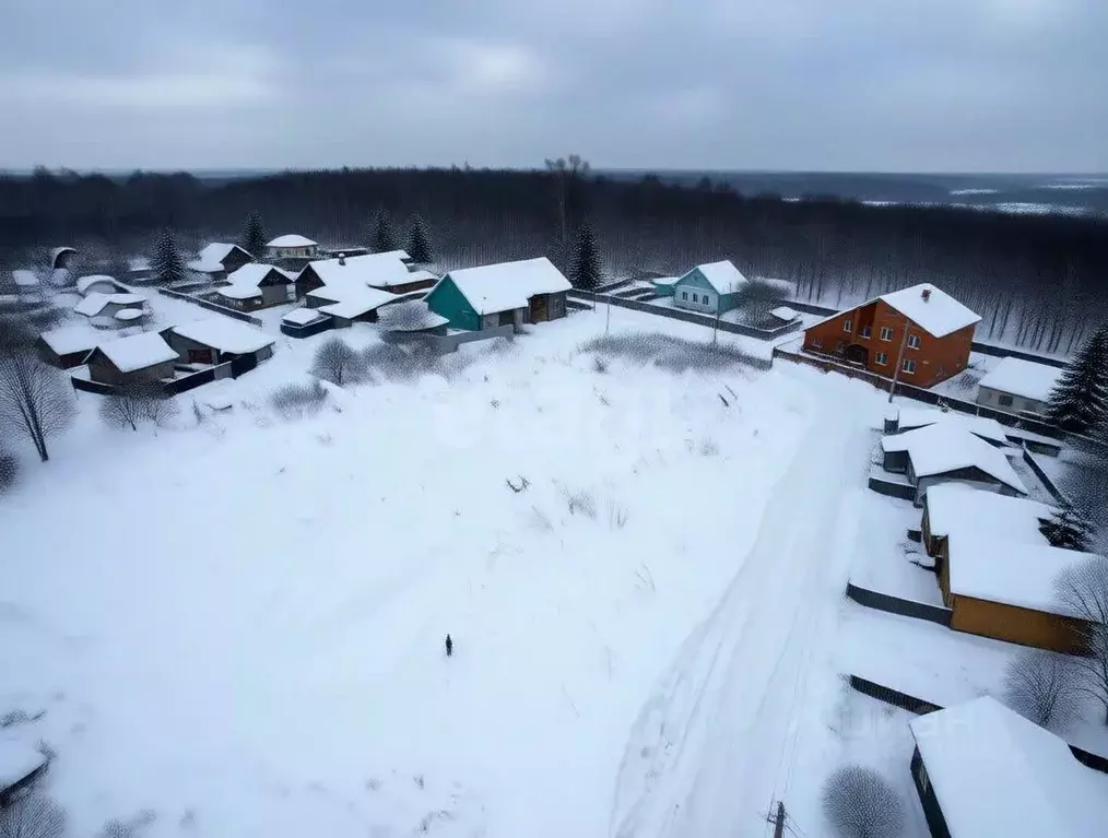 Участок в Московская область, Орехово-Зуевский городской округ, д. ... - Фото 2