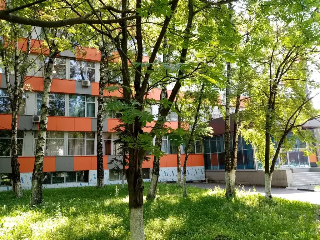 Офис в Московская область, Балашиха Кучино мкр, ул. Южная, 9 (34 м) - Фото 1