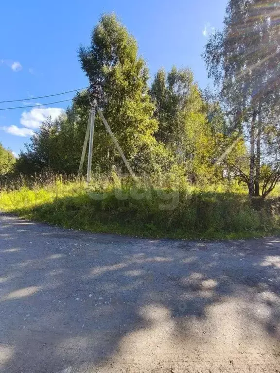 Участок в Удмуртия, Ижевск ул. Можжевеловая (15.0 сот.) - Фото 2