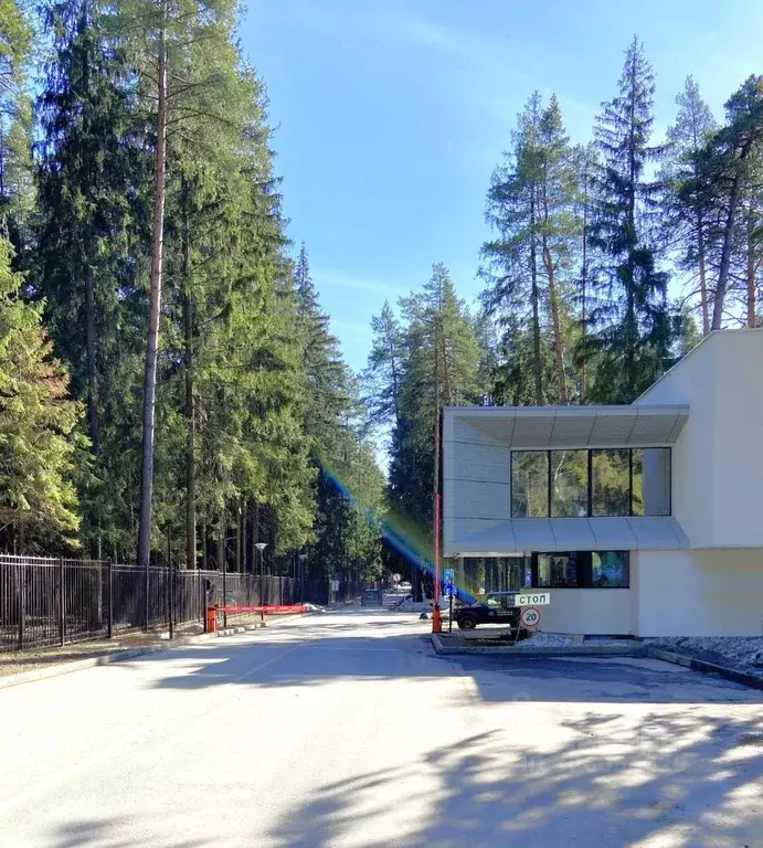 Участок в Московская область, Пушкино Чистые Пруды-3 кп, 125 (30.7 ... - Фото 1