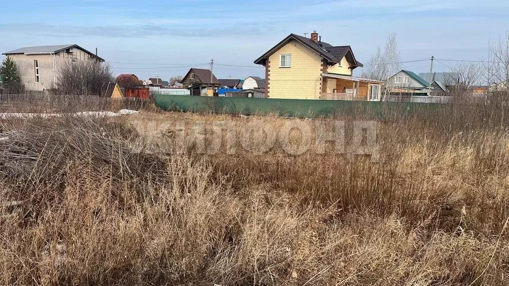 Участок в Ленинградская область, Лужский район, Толмачевское городское ... - Фото 0