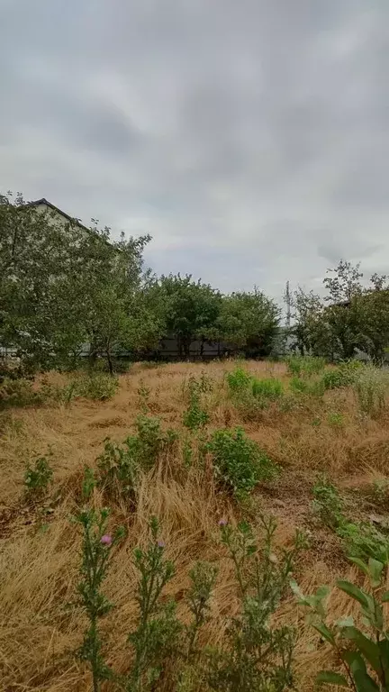 Дом в Ростовская область, Новочеркасск Троицкая пл. (26 м) - Фото 2