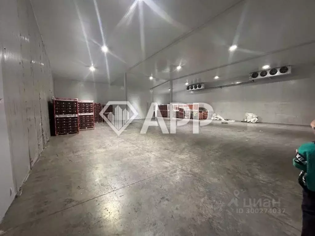 Склад в Краснодарский край, Новороссийск городской округ, с. ... - Фото 2