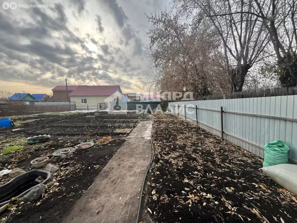 Участок в Омск, территория СОСН Яблонька, 233 (4.62 м) - Фото 1