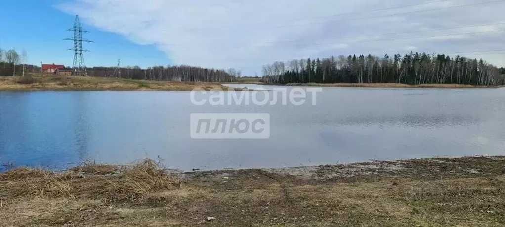Участок в Московская область, Волоколамский муниципальный округ, д. ... - Фото 2