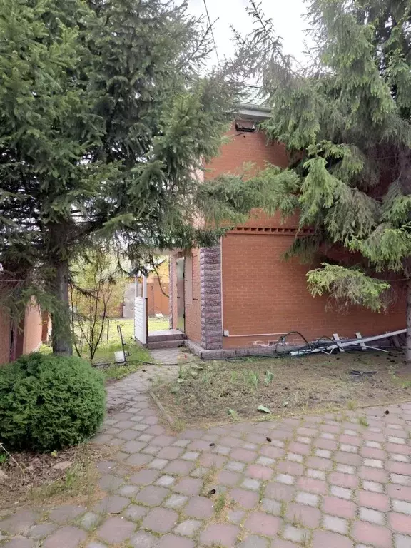 Дом в Омская область, Омск СОСН Заря-3 тер., аллея 5-я (41 м) - Фото 1
