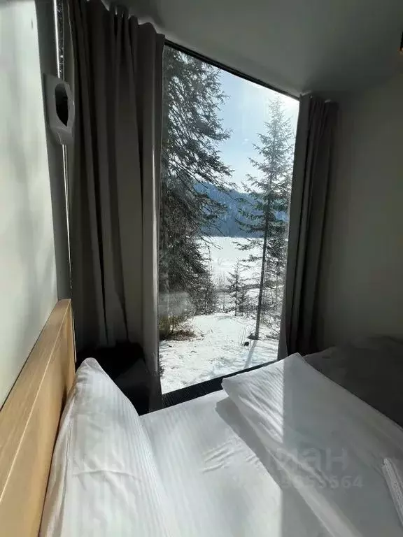 Дом в Алтай, Турочакский район, с. Артыбаш Телецкая ул., 100 (25 м) - Фото 1