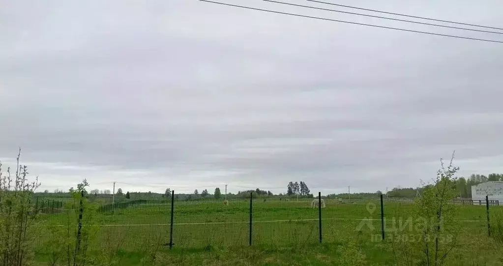 Участок в Ленинградская область, Всеволожский район, Агалатовское ... - Фото 2