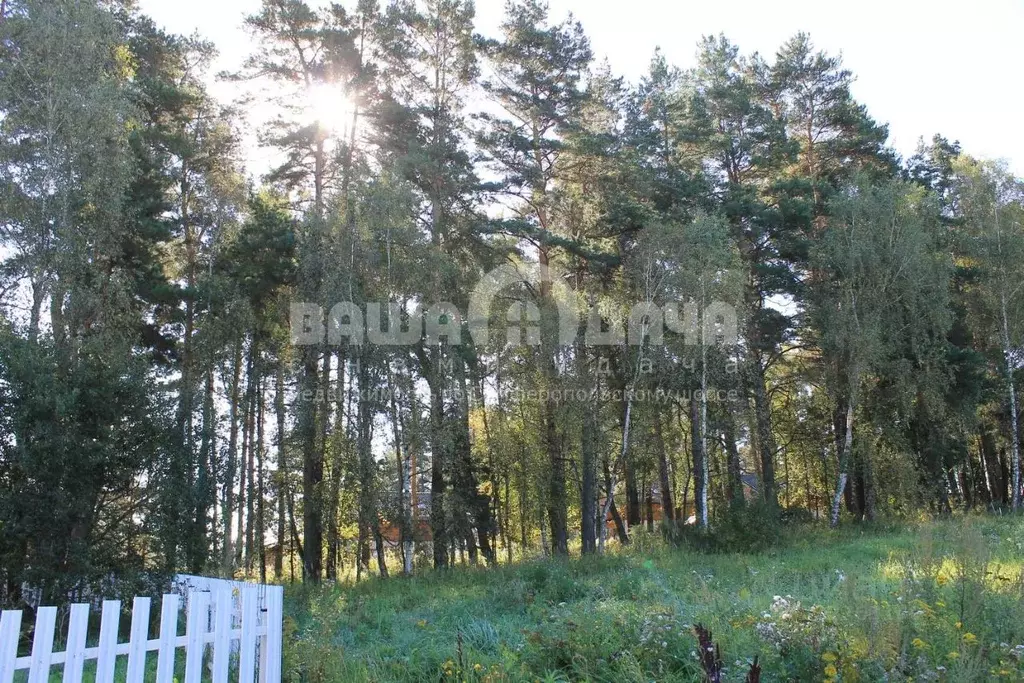 Участок в Тульская область, Заокский район, Малаховское с/пос, ... - Фото 1