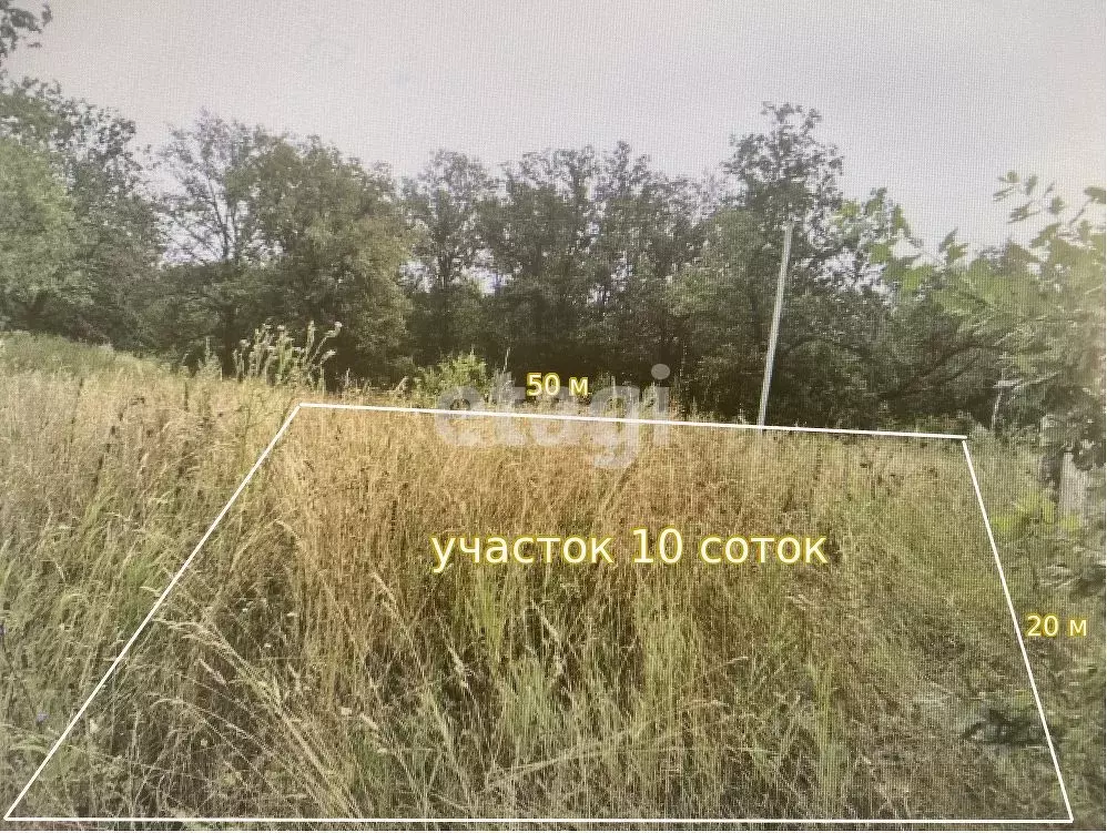 Участок в Ульяновская область, Ульяновский район, Большеключищенское ... - Фото 2