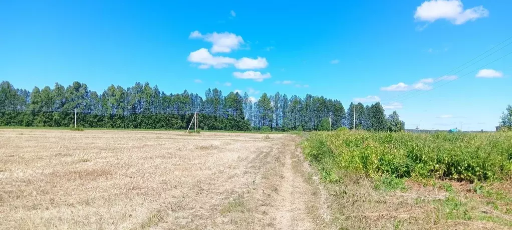 Участок в Марий Эл, Медведевский район, Руэмское с/пос, д. Ореховка  ... - Фото 0