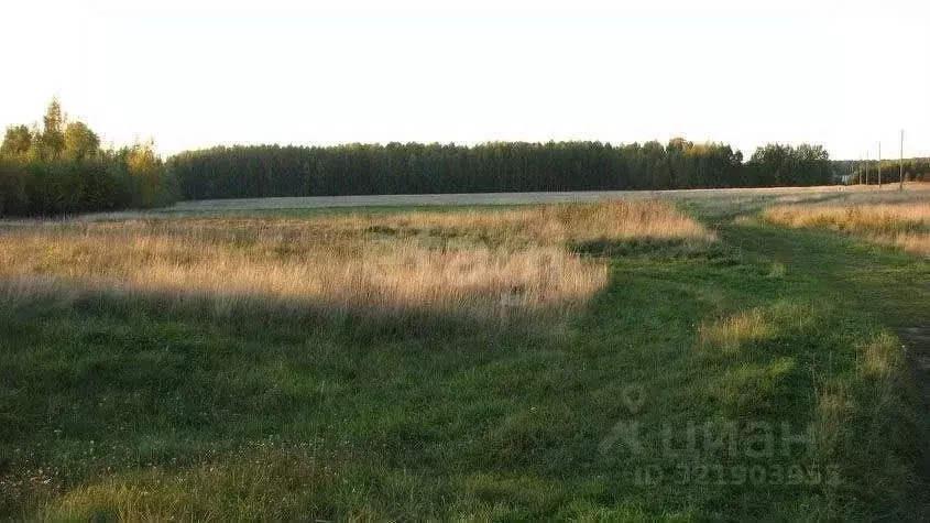 Участок в Ярославская область, Рыбинский муниципальный округ, д. ... - Фото 1