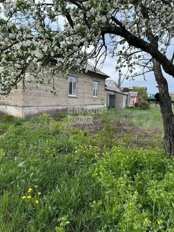 Дом 36,2 м на участке 7 сот. - Фото 1