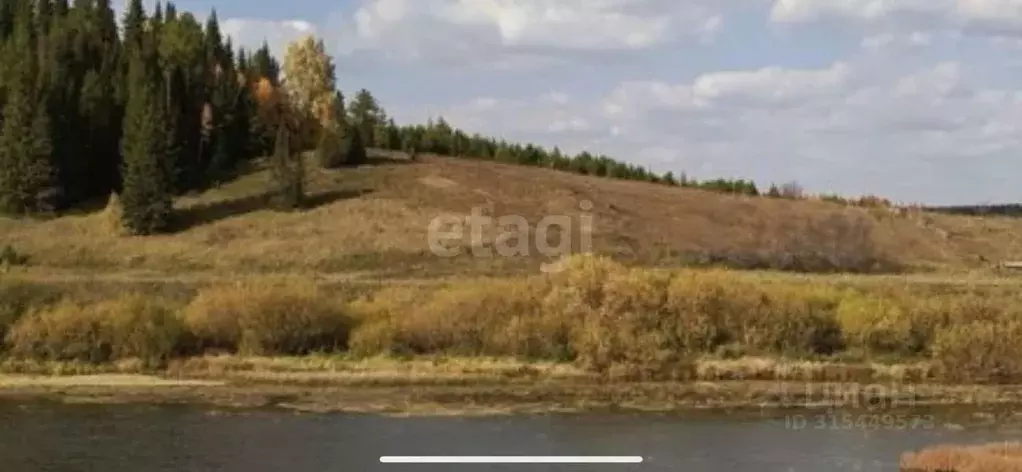 Участок в Свердловская область, Нижний Тагил муниципальный округ, с. ... - Фото 1