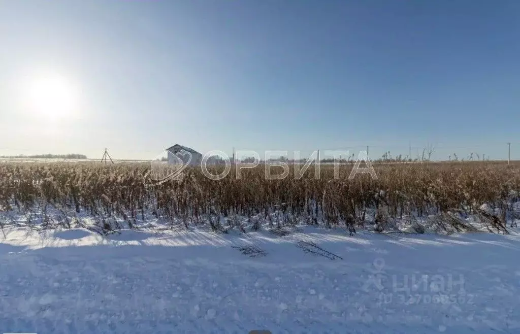 Участок в Тюменская область, Тюменский муниципальный округ, ... - Фото 1