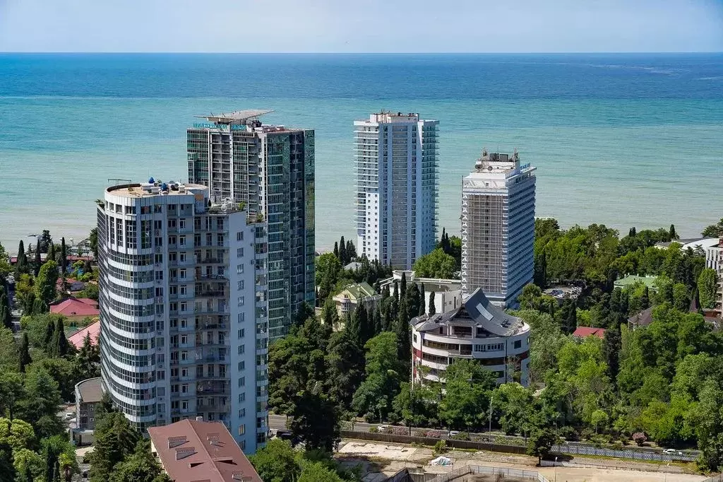 1-к кв. Краснодарский край, Сочи Светлана мкр, ул. Депутатская, 10Б/1 ... - Фото 1