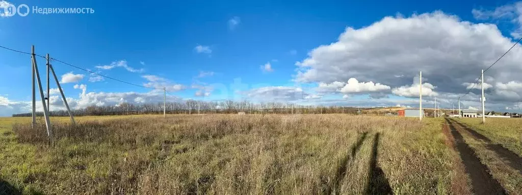 Участок в Лямбирский район, Берсеневское сельское поселение, село ... - Фото 0