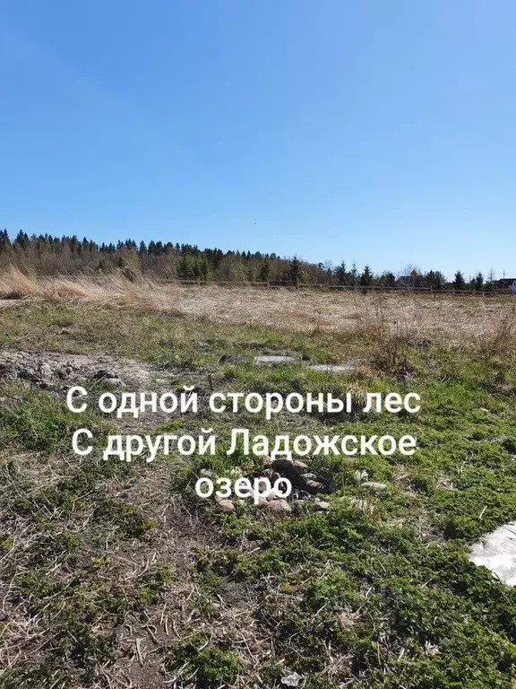 Участок в Карелия, Питкярантский муниципальный округ, Лункулансаари ... - Фото 2