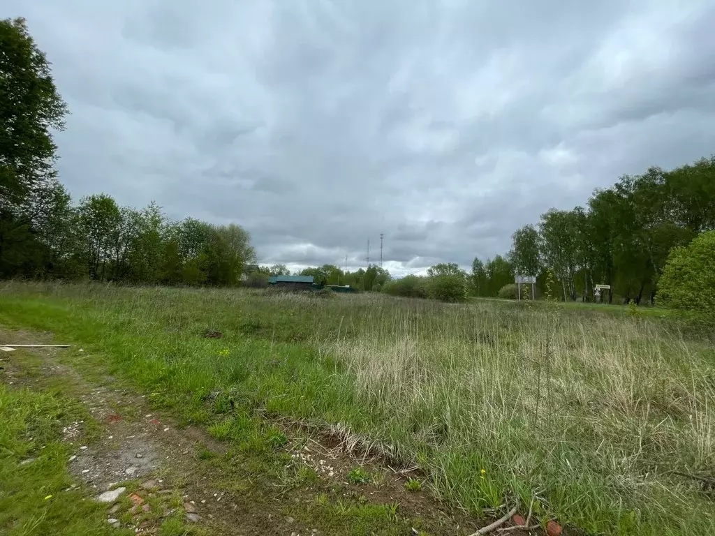 Участок в Московская область, Коломна городской округ, д. Доношово ул. ... - Фото 0