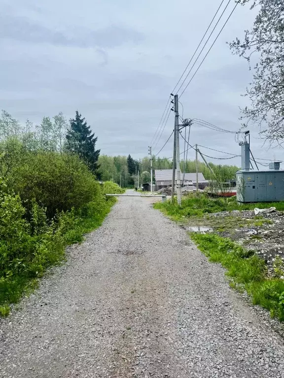 Участок в Ленинградская область, Выборгский район, Каменногорское ... - Фото 1