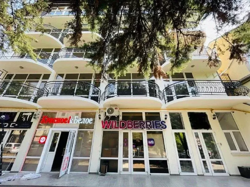 Студия Краснодарский край, Сочи Лазаревское жилрайон, ул. Павлова, 60 ... - Фото 1