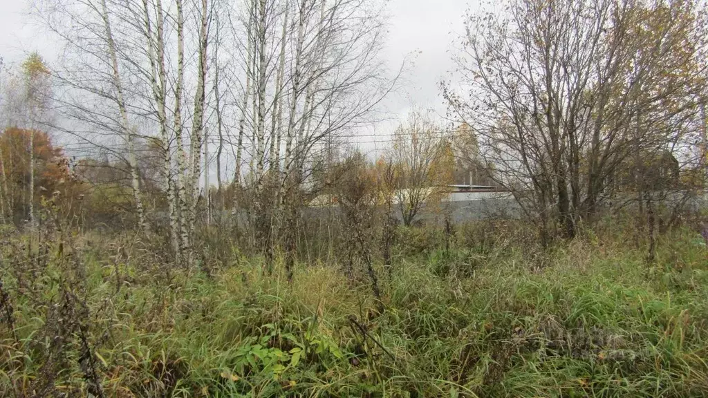 Участок в Московская область, Рузский муниципальный округ, д. ... - Фото 1