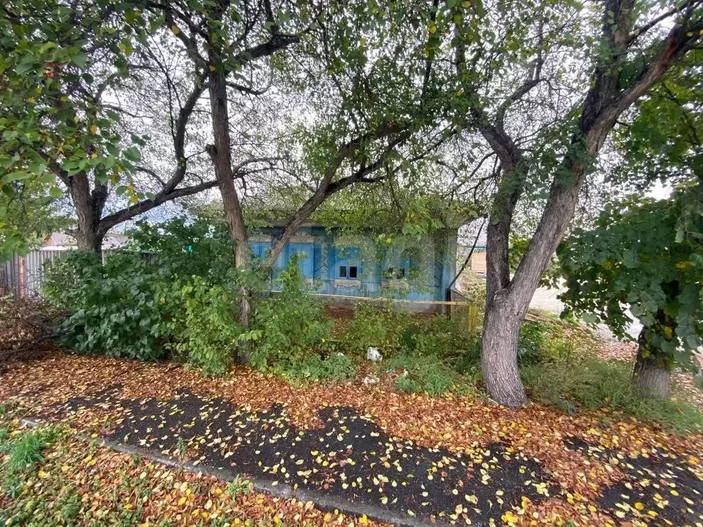 Дом в Тюменская область, Тюмень Микрорайон мыс, ул. Литейщиков (76 м) - Фото 1