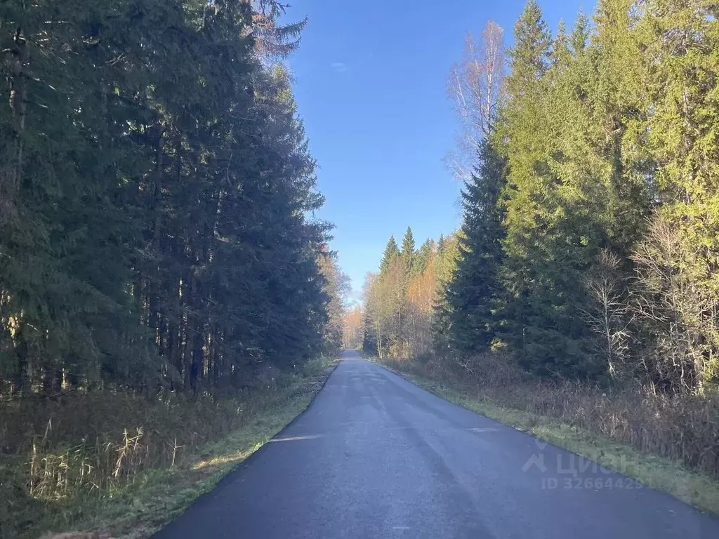 Участок в Тверская область, Конаковский муниципальный округ, д. ... - Фото 2