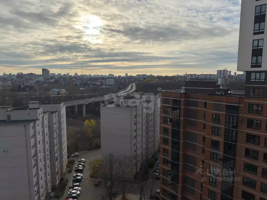 3-к кв. Воронежская область, Воронеж ул. Березовая Роща, 4А (95.1 м) - Фото 1