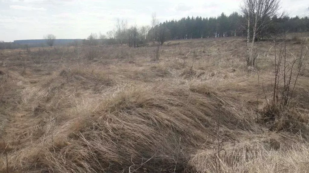Участок в Орловская область, Орловский район, с. Альшань 71А (30.0 ... - Фото 2