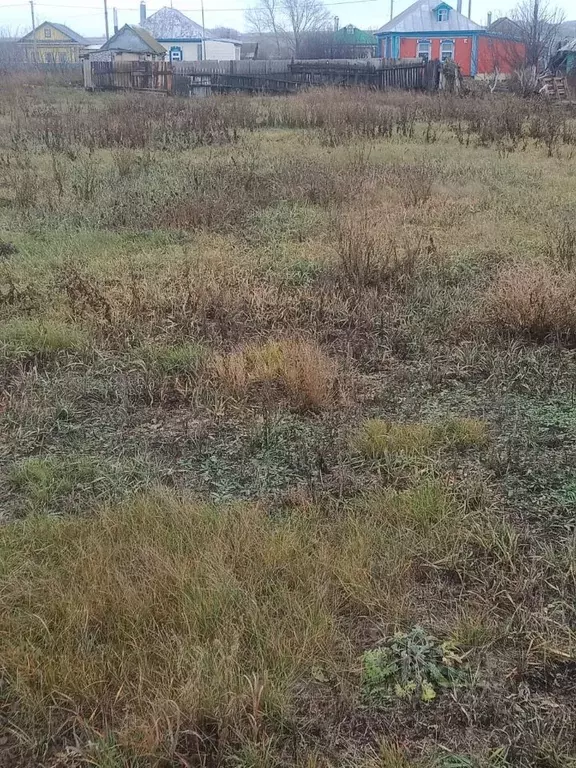 Участок в Башкортостан, Чекмагушевский район, Башировский сельсовет, ... - Фото 2