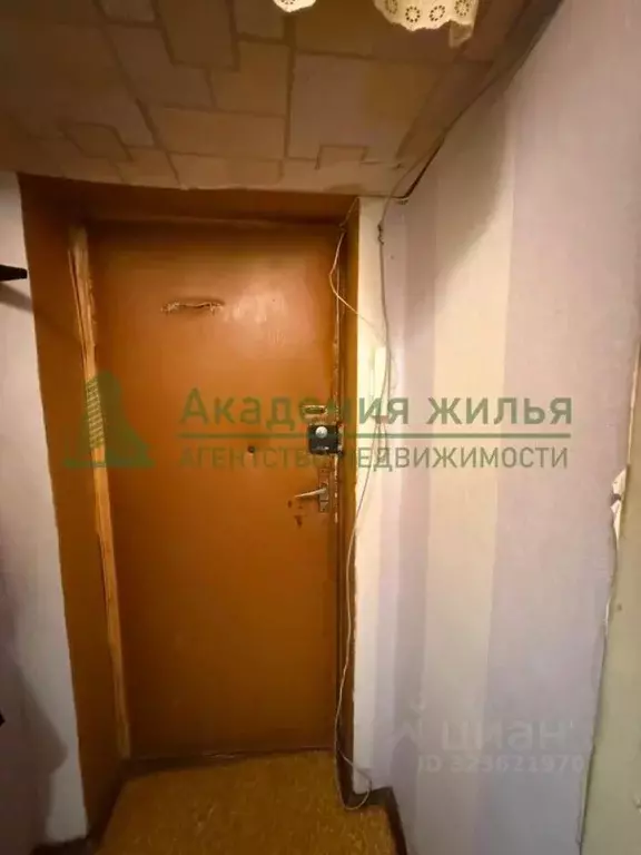 1-к кв. Саратовская область, Саратов ул. Имени В.Г. Рахова, 154 (30.5 ... - Фото 2