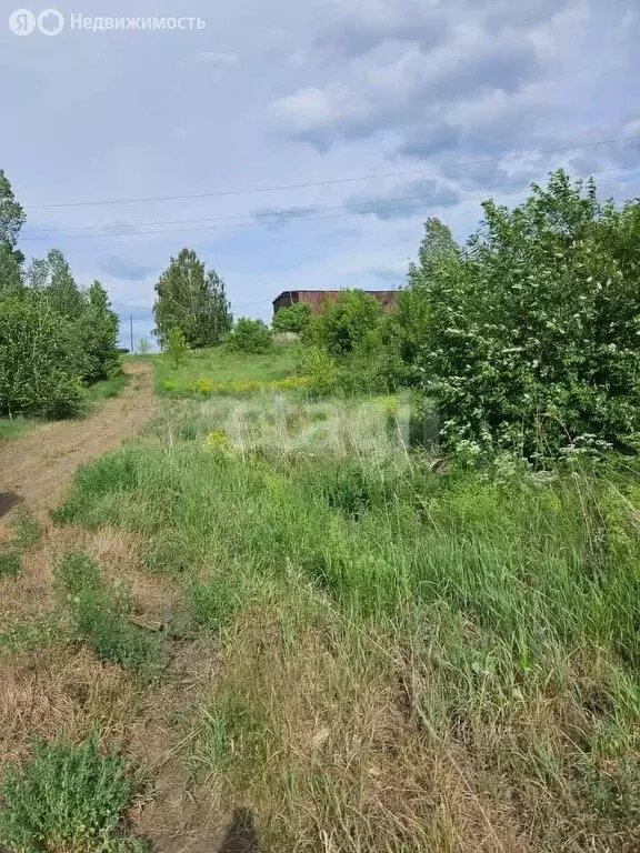 Участок в село Елыкаево, Колхозная улица (14.71 м) - Фото 2