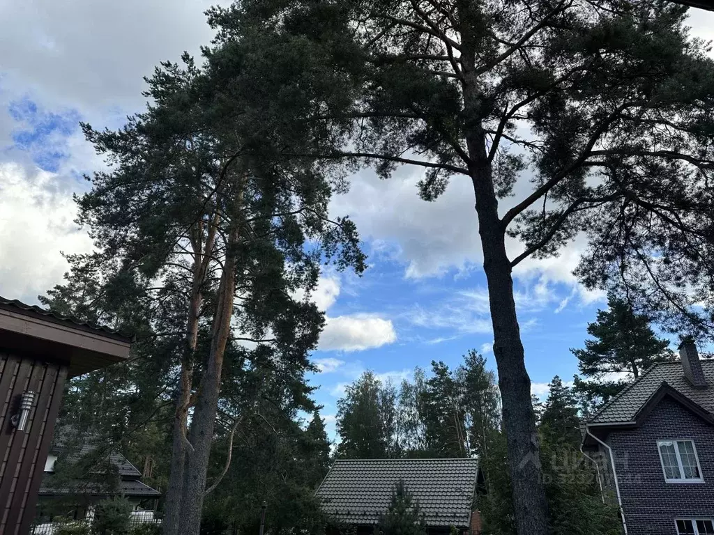 Дом в Ленинградская область, Всеволожский район, Юкковское с/пос, ... - Фото 2