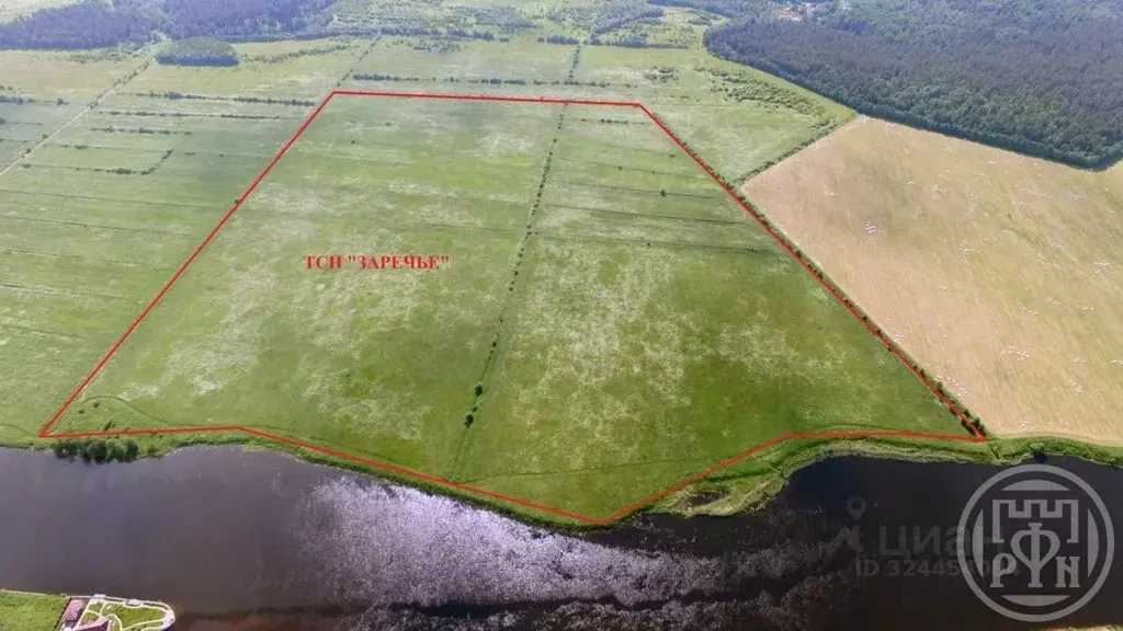 Участок в Ленинградская область, Приозерский район, Запорожское с/пос, ... - Фото 2