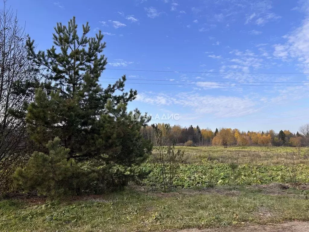 Участок в Пермский край, Пермский муниципальный округ, Уральские Зори ... - Фото 0