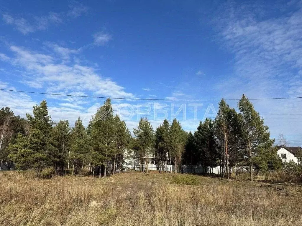 Участок в Тюменская область, Тюменский муниципальный округ, д. Черная ... - Фото 2