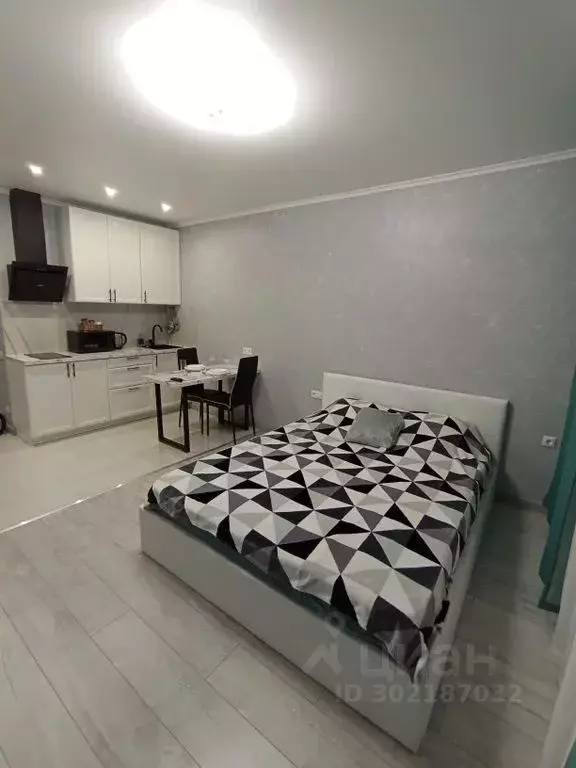 Студия Московская область, Домодедово городской округ, с. Домодедово ... - Фото 2