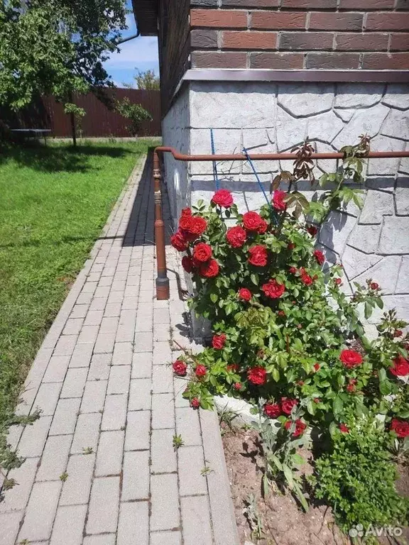 Дом в Калининградская область, Светловский городской округ, пос. ... - Фото 0