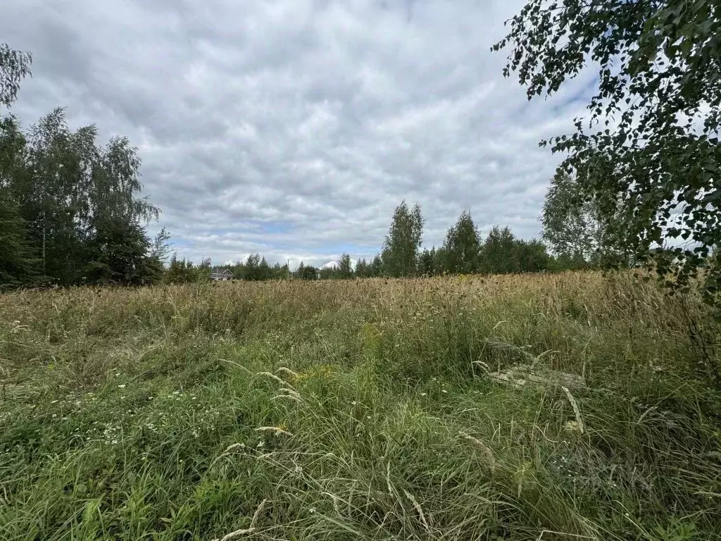 Участок в Нижегородская область, Нижний Новгород с. Безводное, ул. ... - Фото 0