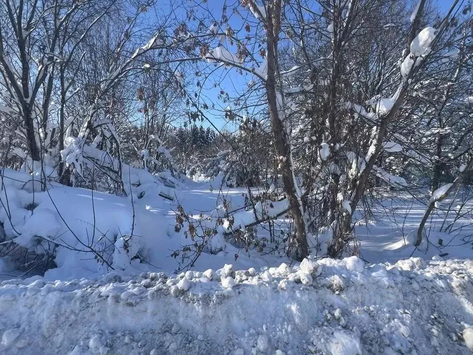 Участок в Московская область, Высоковск Клин городской округ, д. ... - Фото 1
