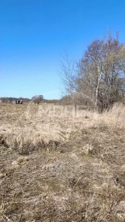 Участок в Калининградская область, Зеленоградский муниципальный округ, ... - Фото 1