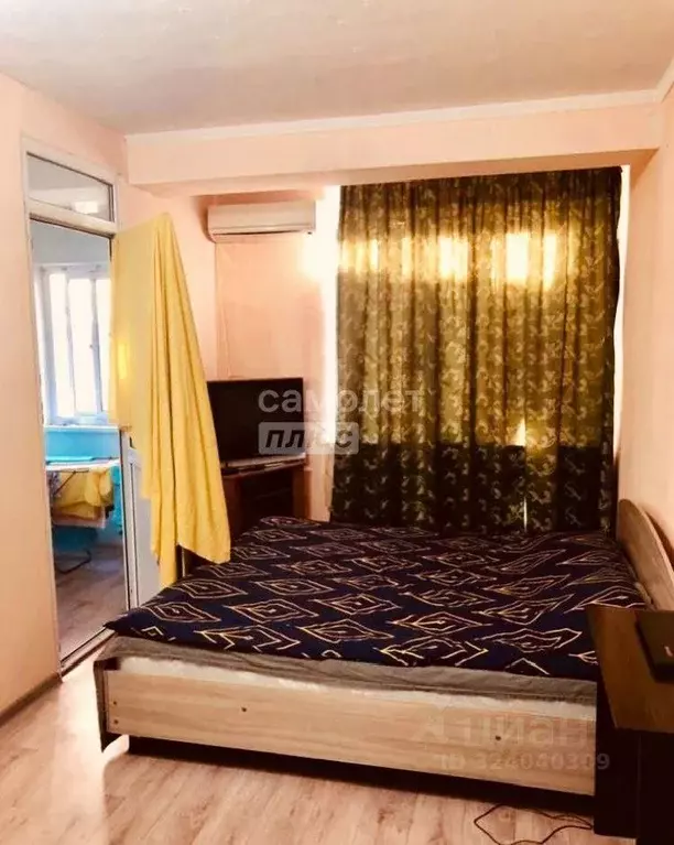 Студия Краснодарский край, Сочи городской округ, Дагомыс пгт ул. ... - Фото 2