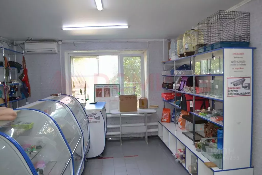 Помещение свободного назначения в Ростовская область, Волгодонск ... - Фото 2