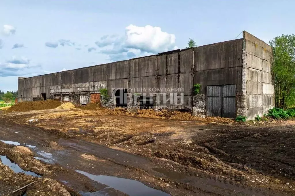 Склад в Ленинградская область, Волосовский район, Клопицкое с/пос, ... - Фото 2