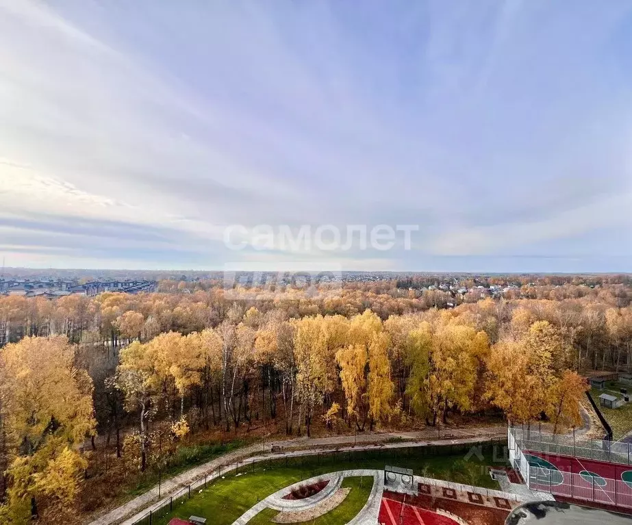 1-к кв. Брянская область, Брянский район, пос. Мичуринский, ... - Фото 2